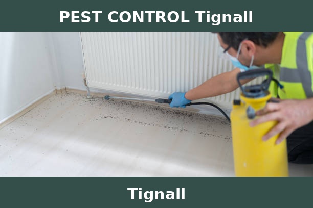 PEST CONTROL Tignall